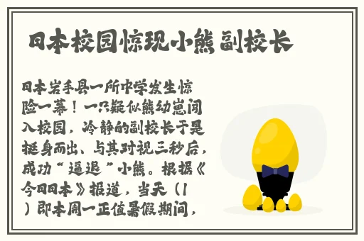 在线a 800免费网址
